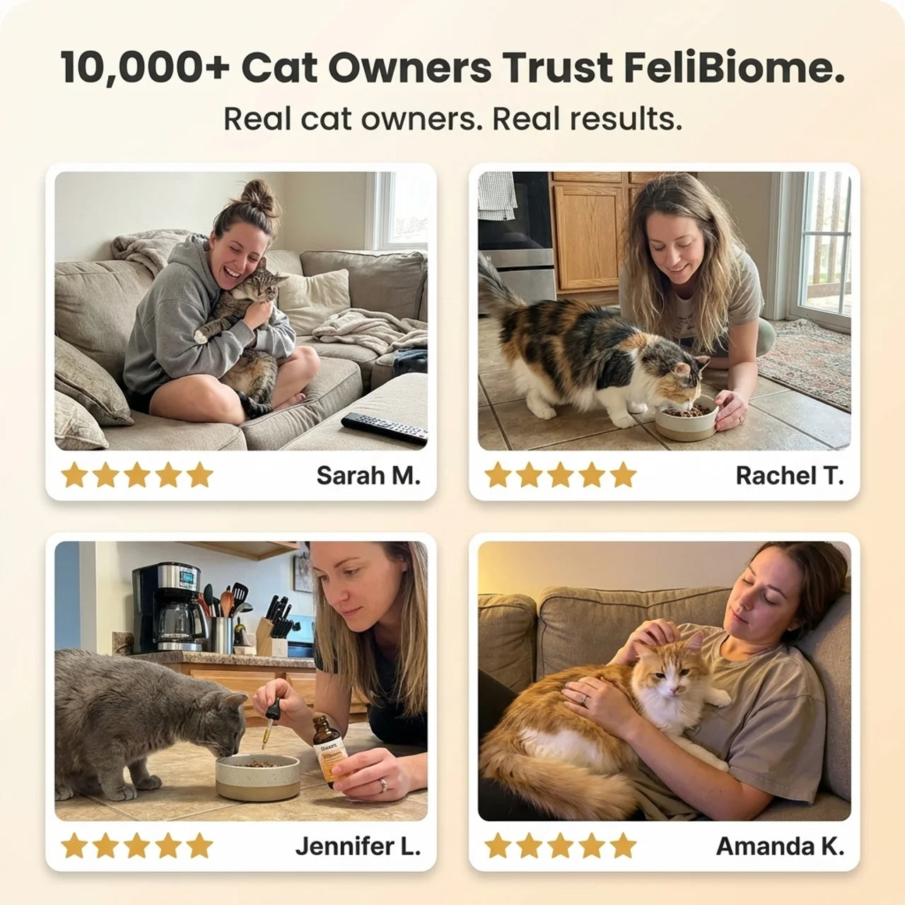FeliBiome | Heal the Gut. Get Your Cat Back.