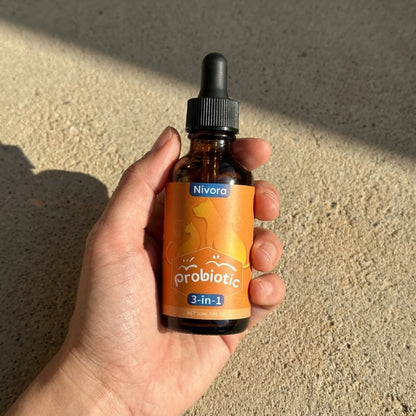 FeliBiome | Heal the Gut. Get Your Cat Back.