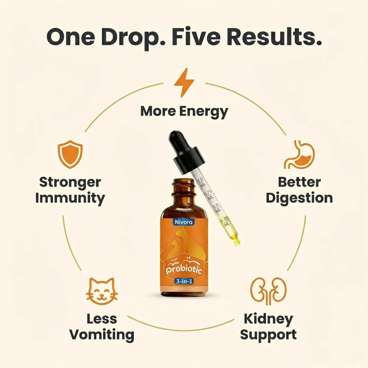 FeliBiome | Heal the Gut. Get Your Cat Back.