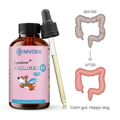Nivora | Restore Your Dog's Digestive Calm